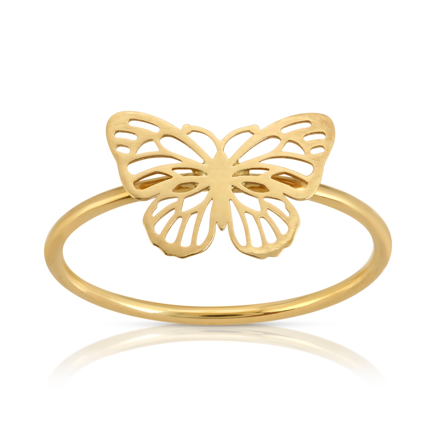 Butterfly Skinny Band